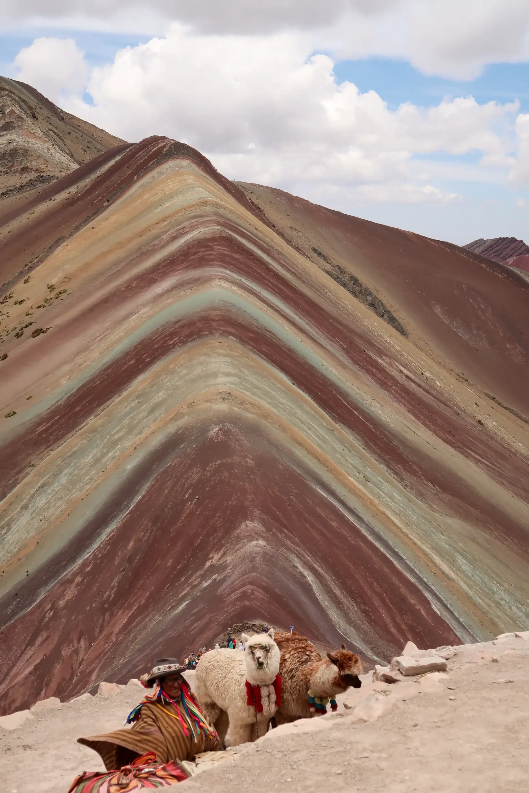 Rainbow Mountain: Wandern am Vinicunca zwei Alpakas mit Sonnenbrillen am Regenbogenberg Vinicunca in Peru
