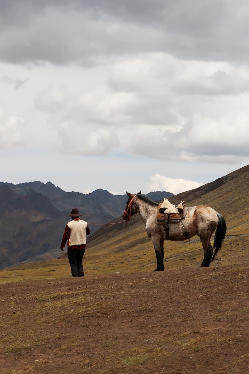 Rainbow Mountain: Wandern am Vinicunca ein Pferdeführer mit gesatteltem Pferd am Regenbogenberg Vinicunca in Peru