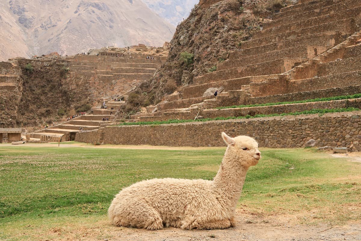 Das Heilige Tal der Inka auf eigene Faust entdecken Ollantayambo Inka Ruine