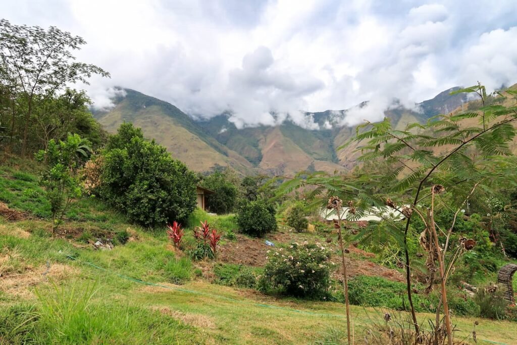 Santa Teresa Peru: Dschungel, Kaffee und Entspannung Panorama Dschungel Santa Teresa Peru