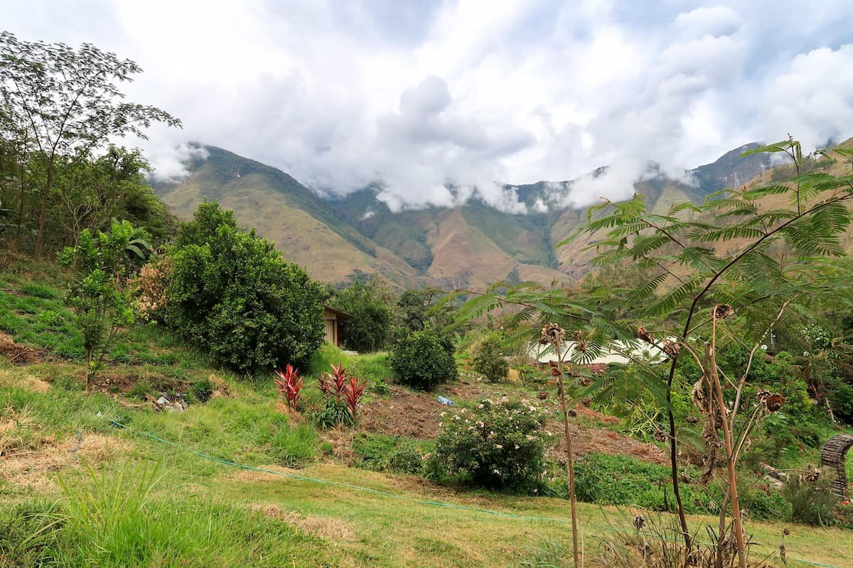 Santa Teresa Peru: Dschungel, Kaffee und Entspannung Panorama Dschungel Santa Teresa Peru