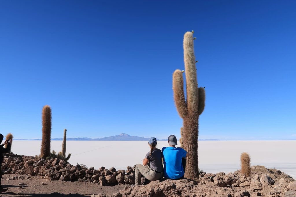 kaktusinsel uyuni