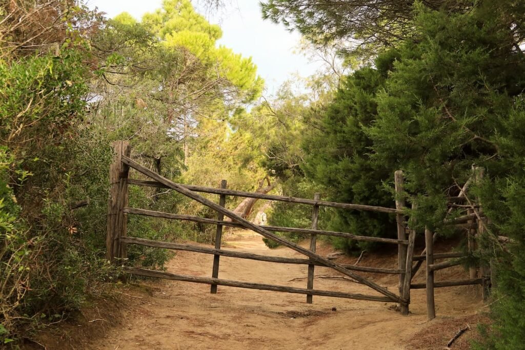 Unterwegs in der Maremma: Wandern in der Toskana Wanderung in der Maremma Toskana