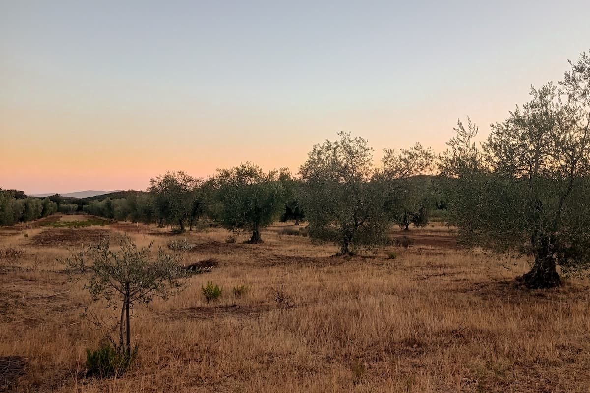 Agricampeggio La Brada