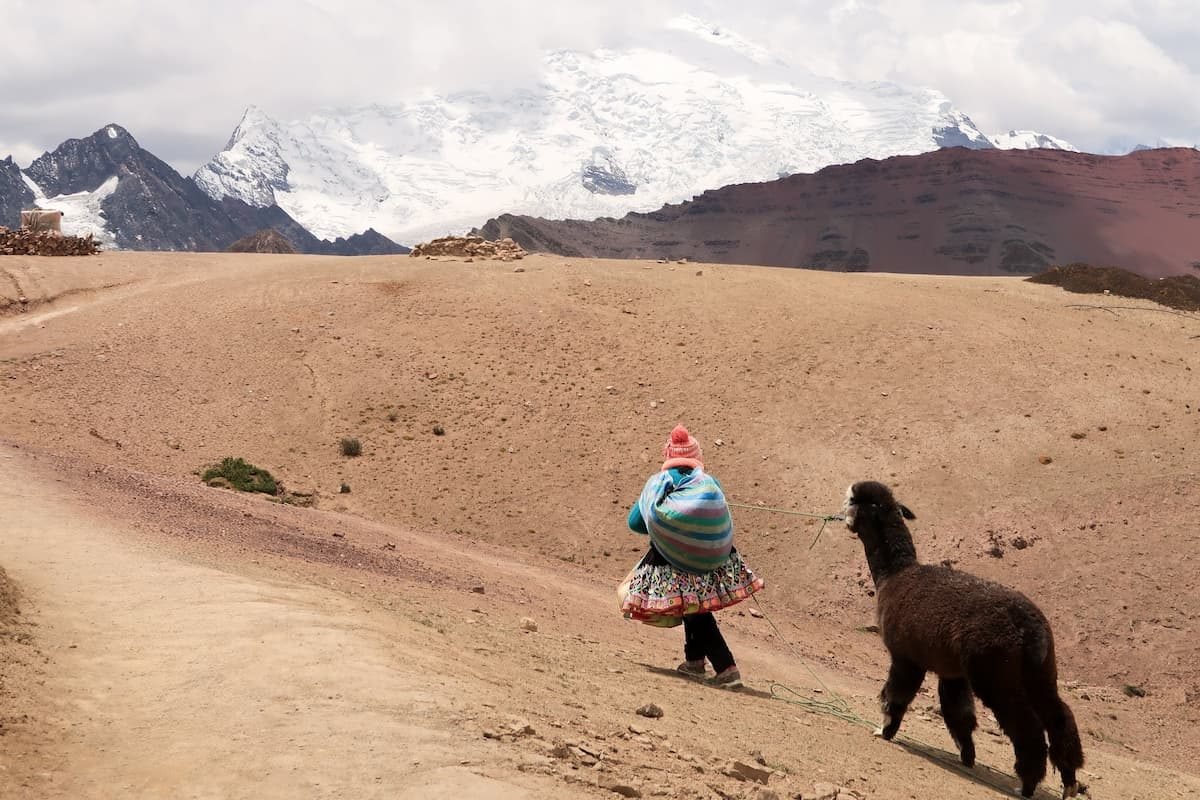 alpaka nevado ausangate peru Frau mit Alpaka am Regenbogenberg Vinicunca