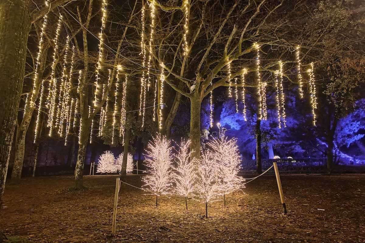Bosco delle Emozioni Arezzo