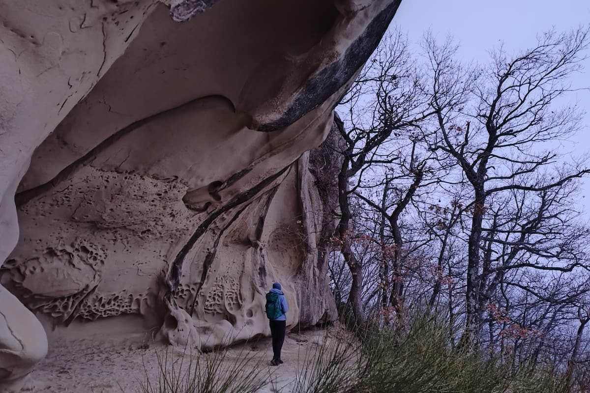 Bologna Grotte