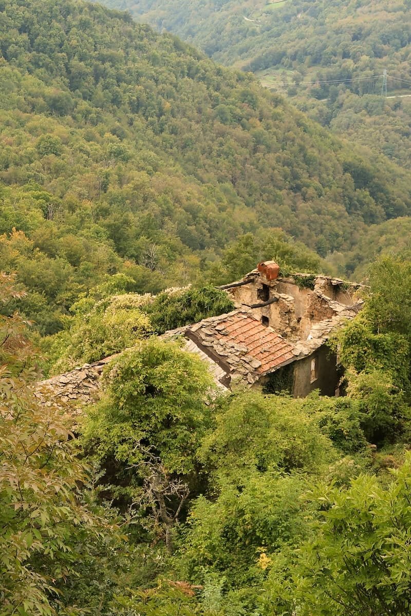 chiapporato geisterdorf chiapporato geisterdorf