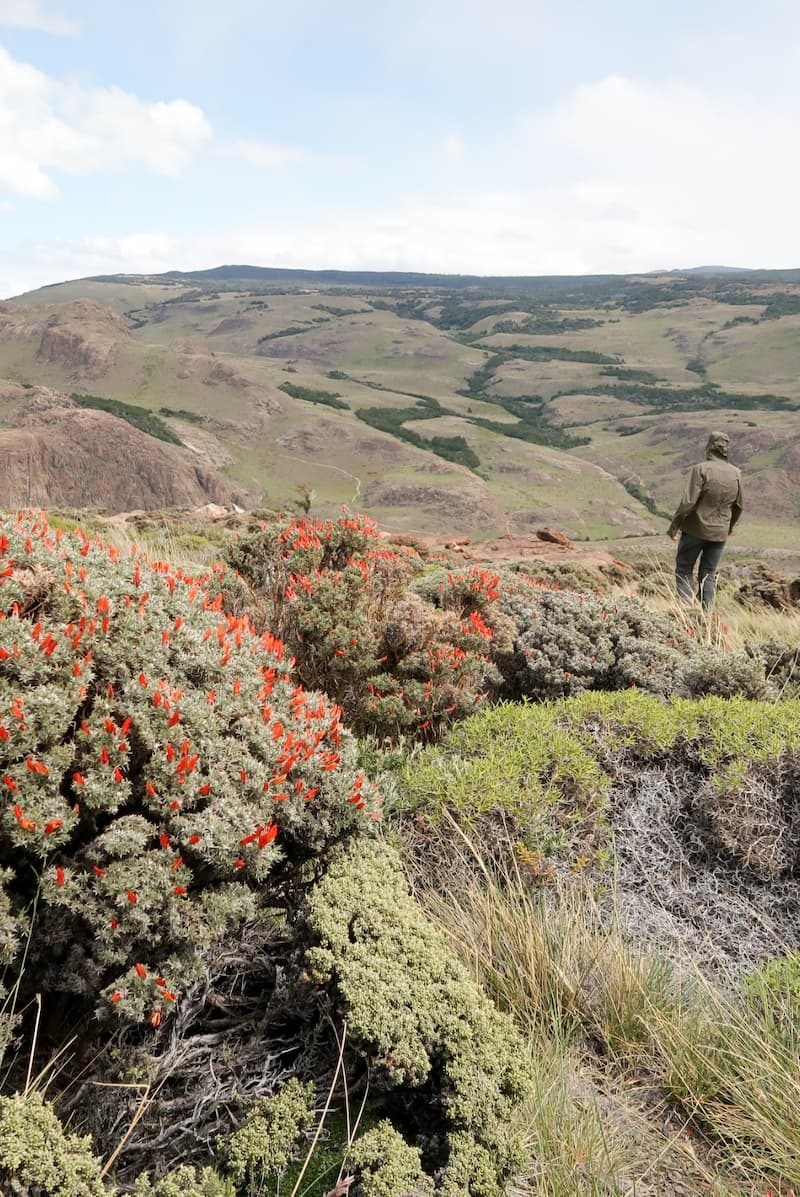 Ushuaia El Chalten Wanderung kostenfrei