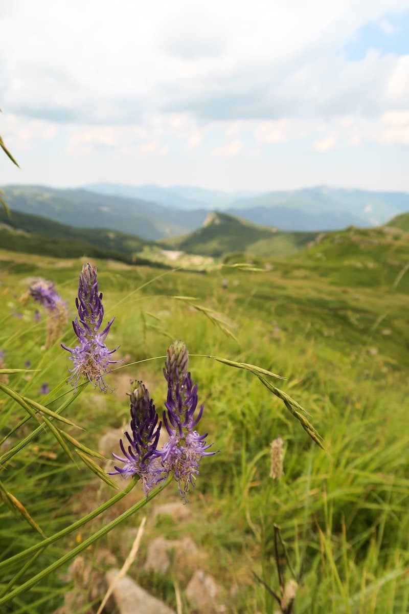 die schönsten Wanderungen in der Emilia-Romagna