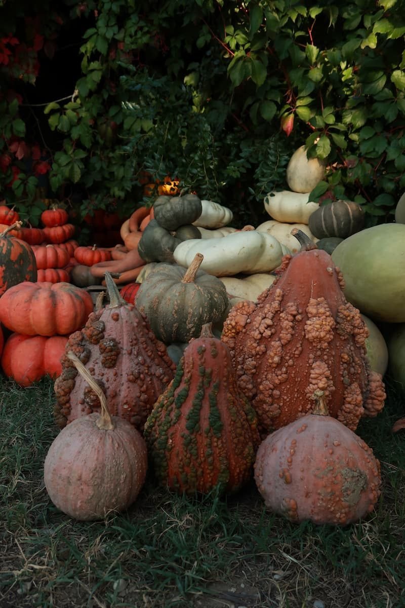 Norditalien im Herbst