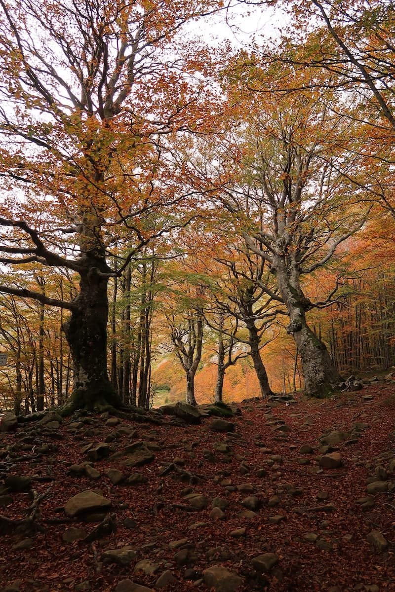 Emilia-Romagna Wandern