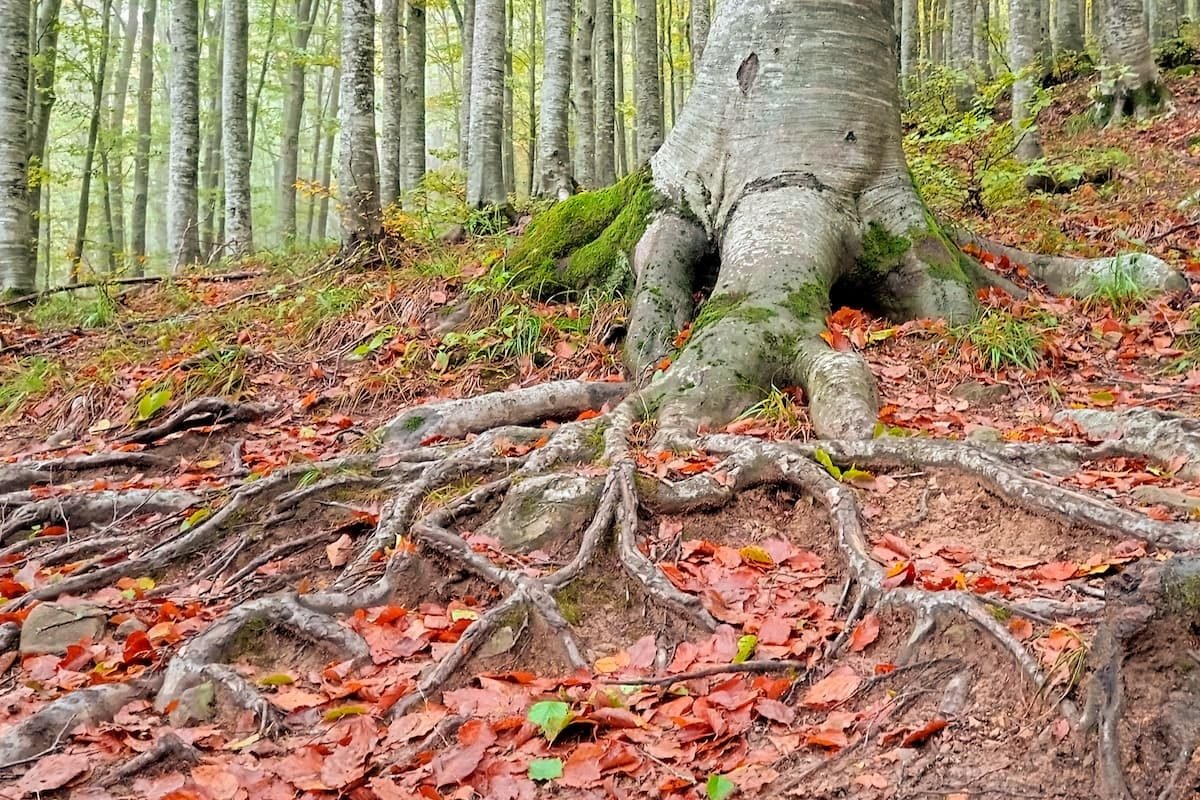 die schönsten Wanderungen in der Emilia-Romagna