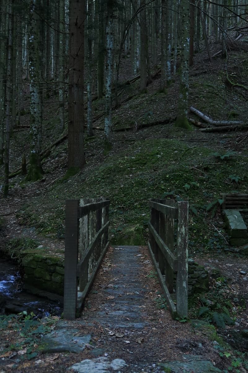 foreste-casentinesi-toskana