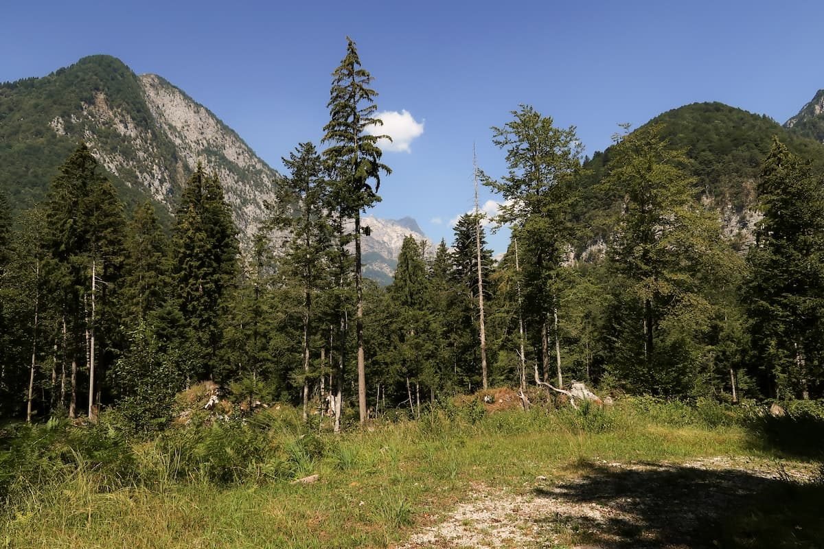 Naturpark Friauler Dolomiten
