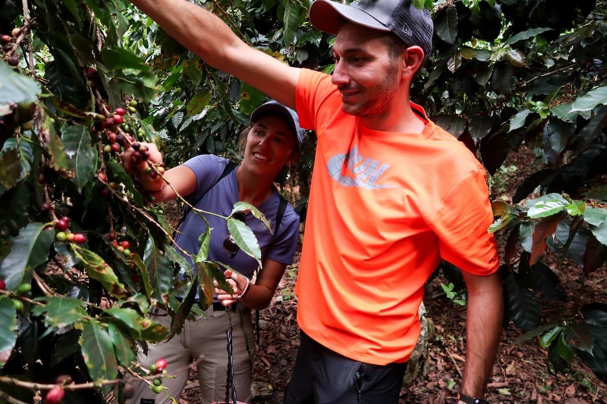 kaffeeplantage peru 2 kaffeeplantage peru 2