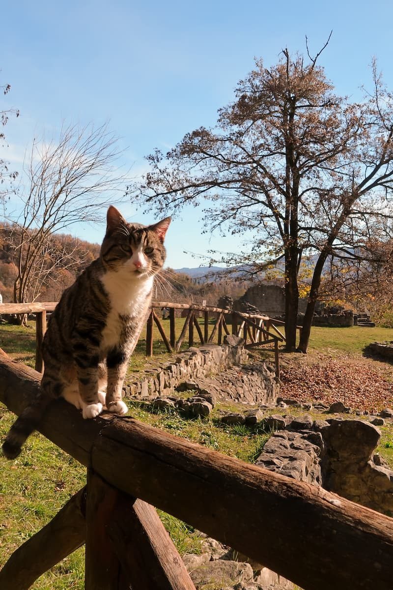 Parco Storico Monte Sole