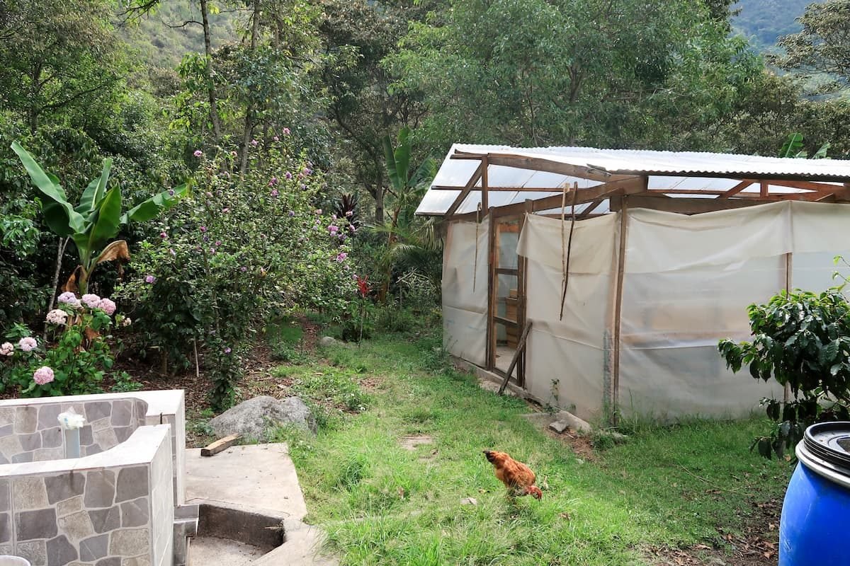 mischkultur kaffeeplantage peru Hühner und Kaffeeproduktion in Santa Teresa Peru