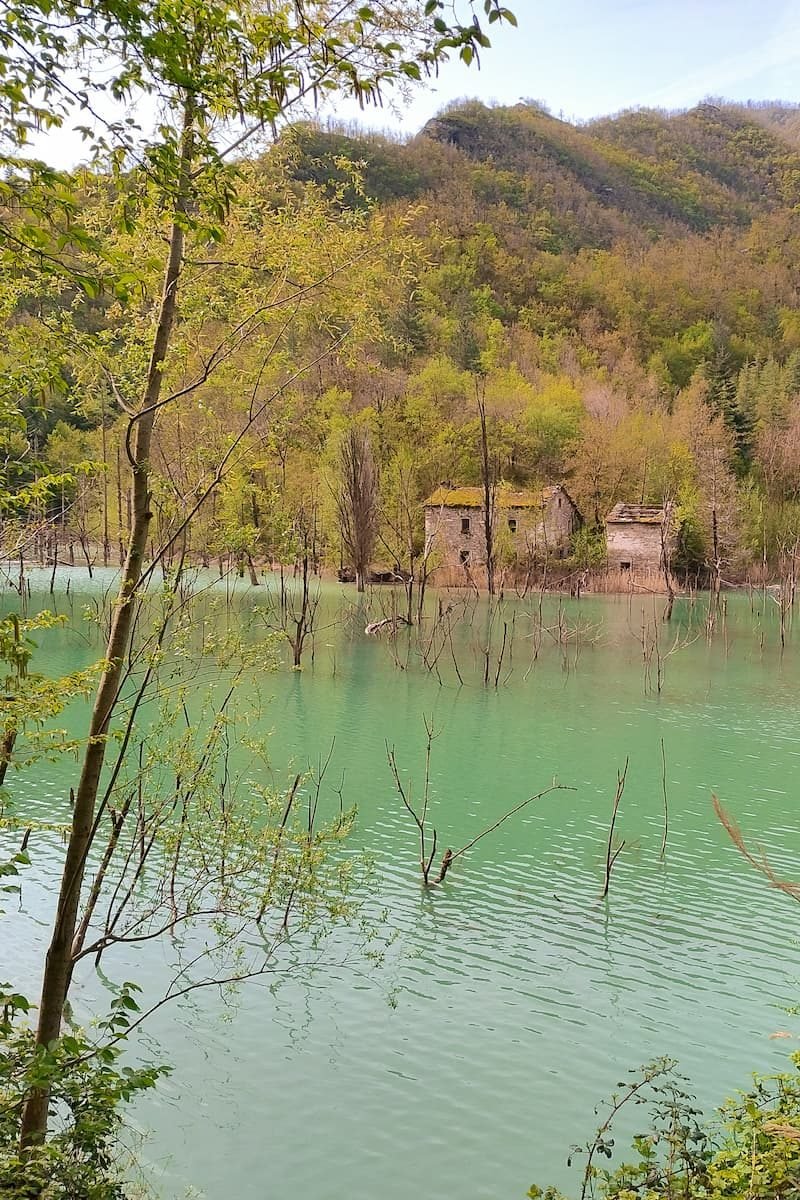 Nationalpark Forste Casentinesi