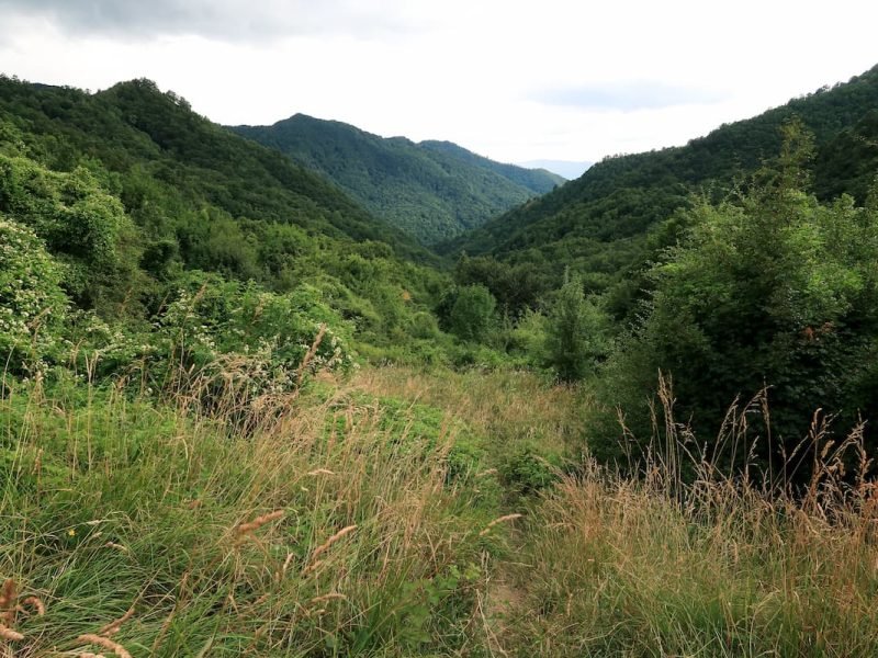 panorama apennin toskana 2 Toskanas wilde Seite - Wildnis im Apennin