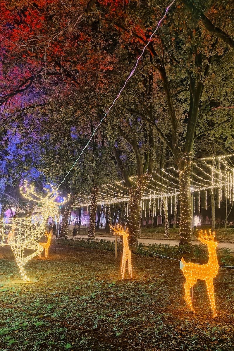 Bosco delle Emozioni Arezzo Toskana