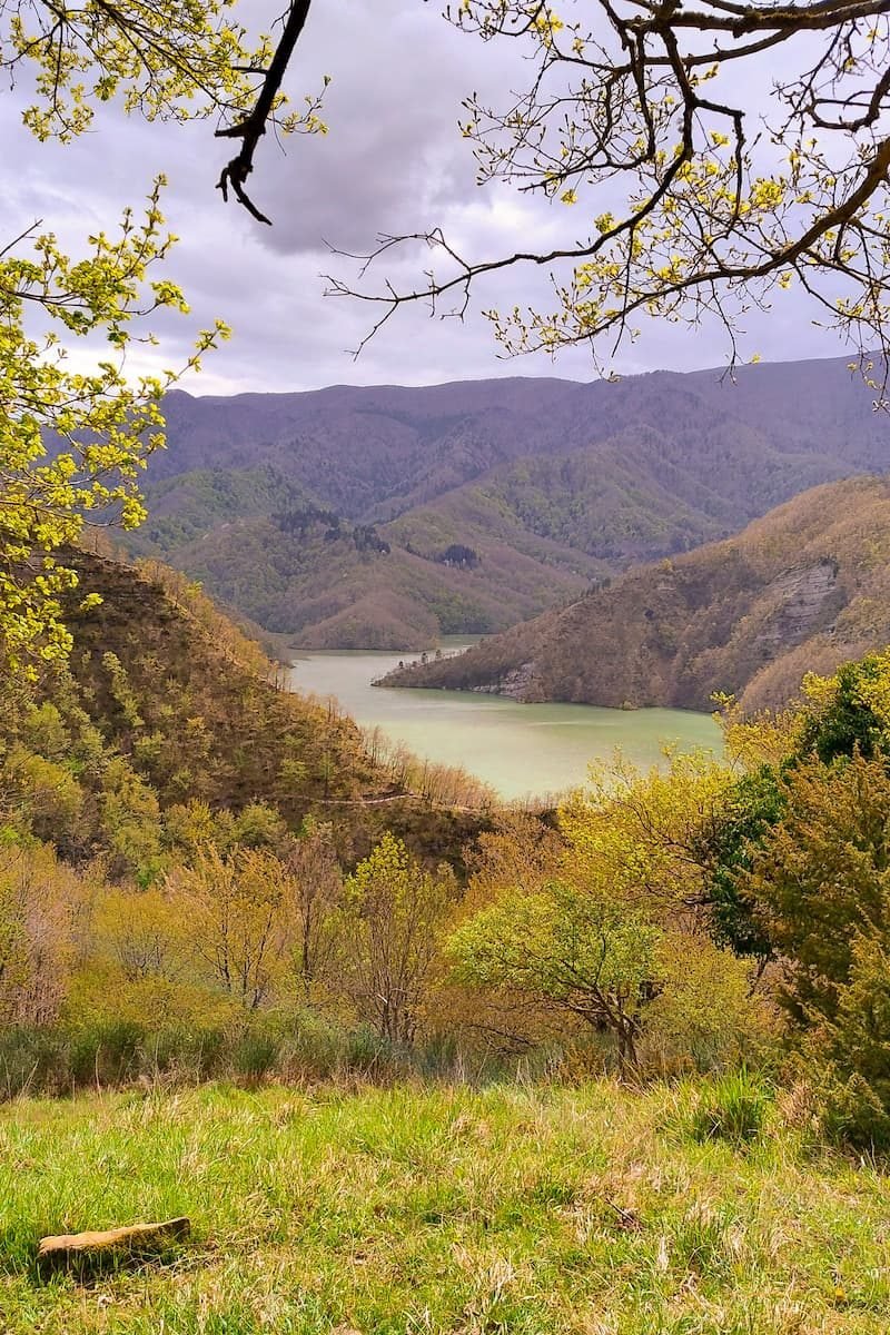 Nationalpark Foreste Casentinesi