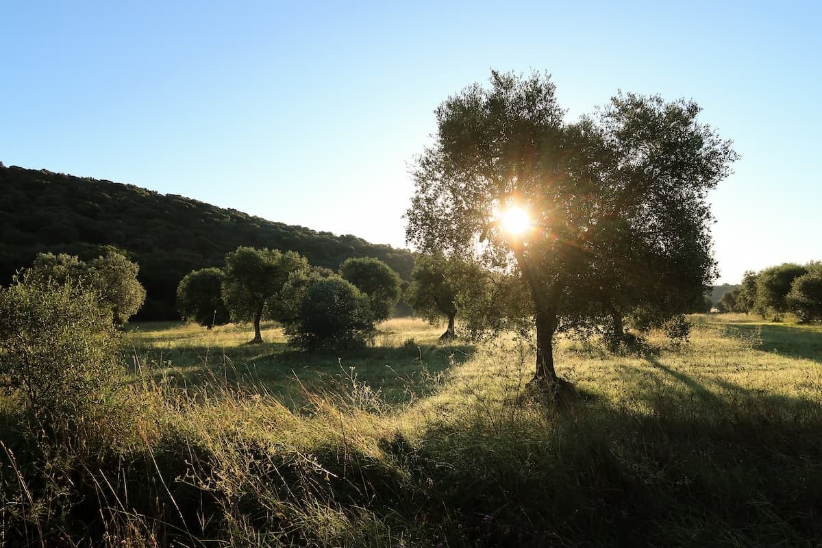 sonnenaufgang maremma sonnenaufgang maremma