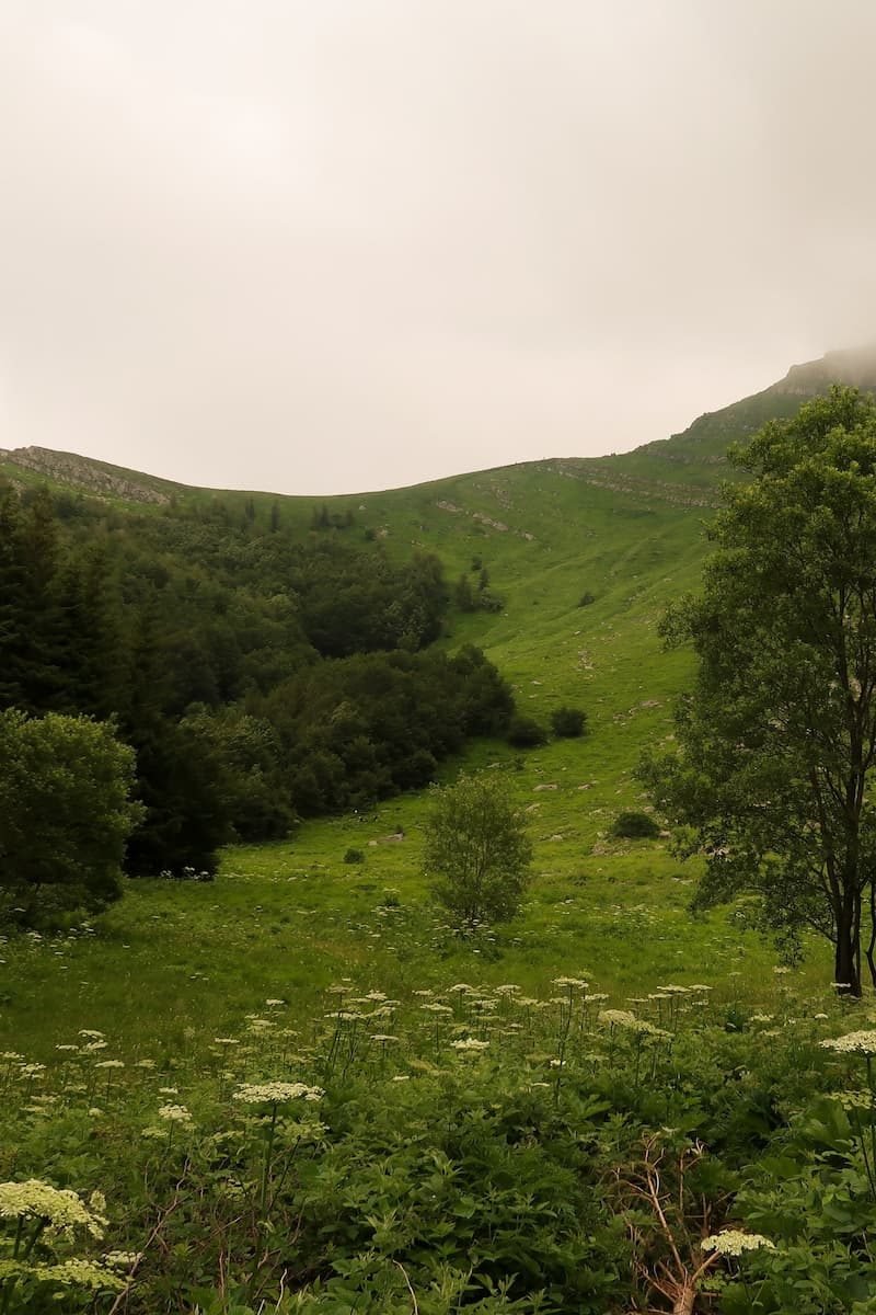 tal der stille emilia romagna tal der stille emilia romagna