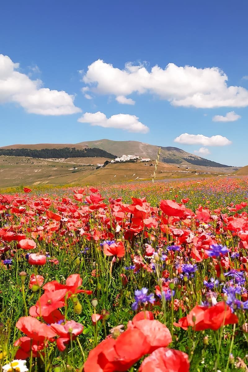 wandern in den monti sibillini