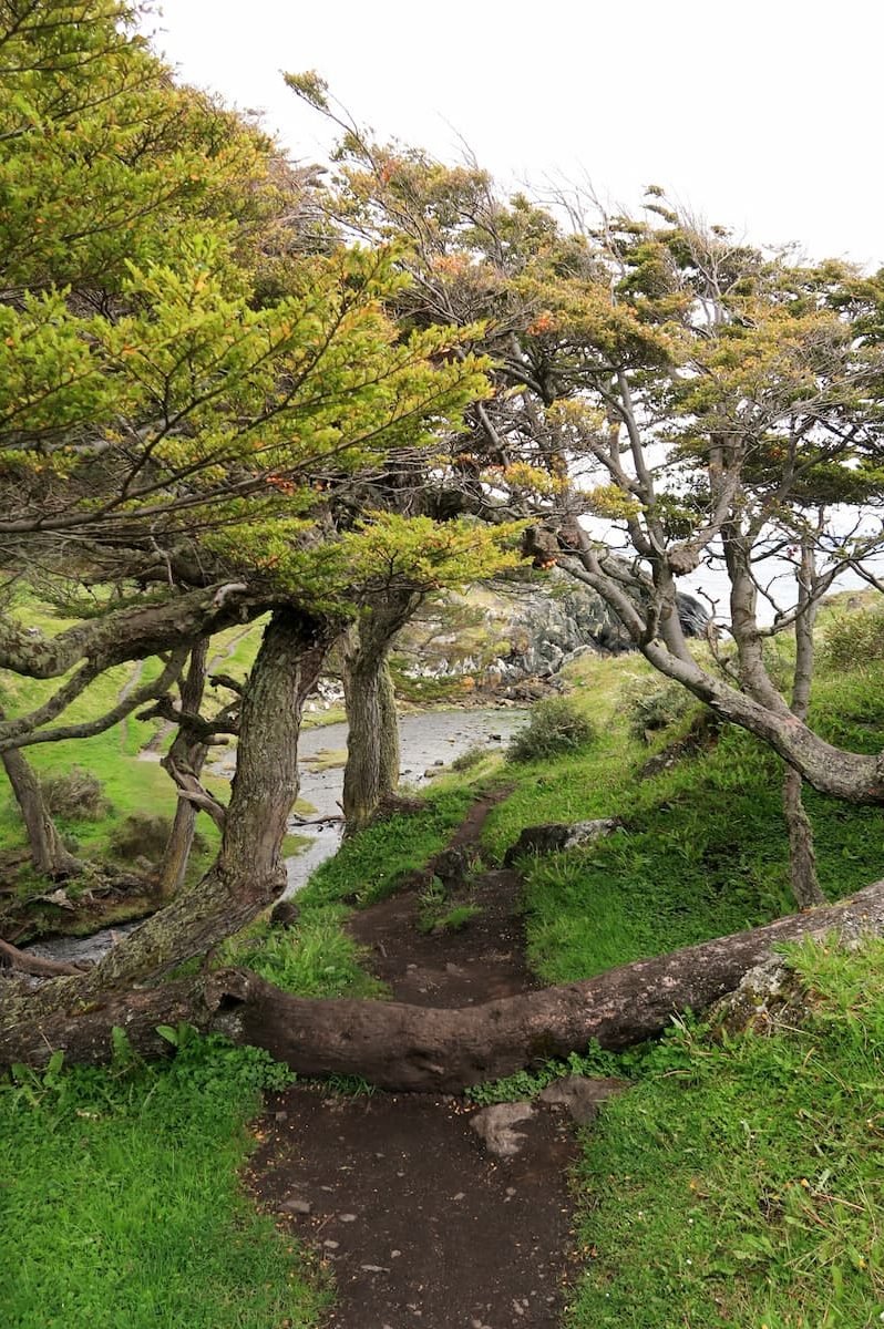 Estancia Tunel Wanderung Ushuaia