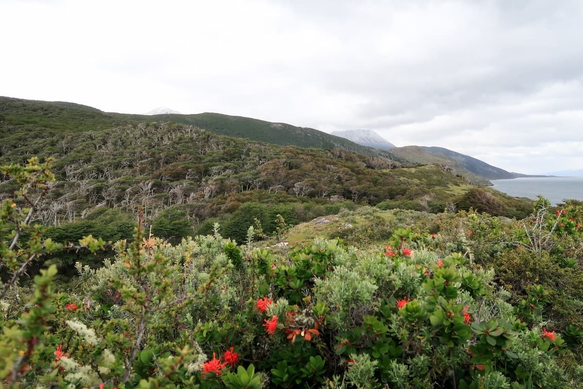 Estancia Tunel Ushuaia