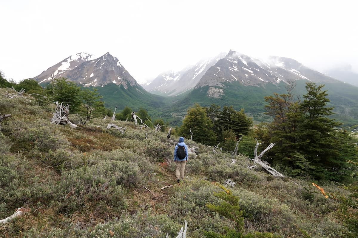 Cerro Susanna Usuhaia Wanderung