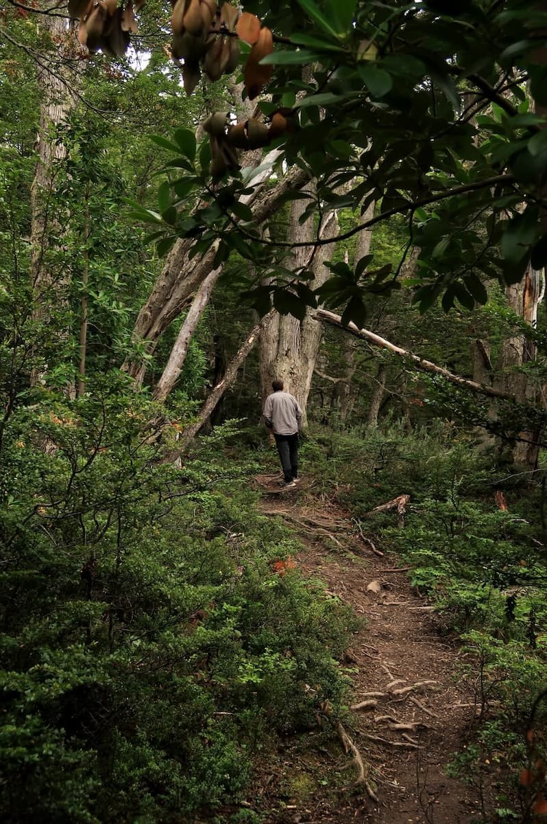 Cerro Susana Wanderung Ushuaia