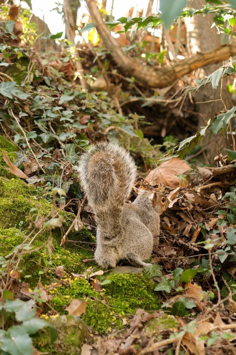 valentino-park-turin