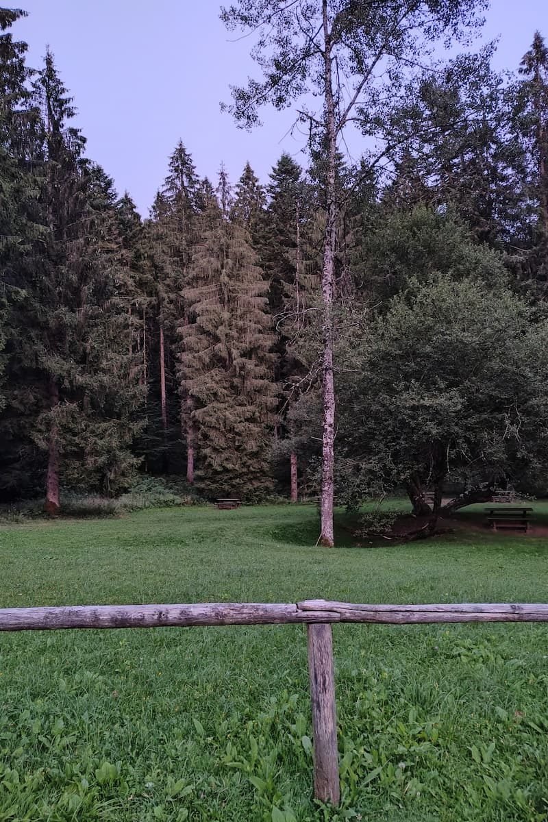 Wald Veneto