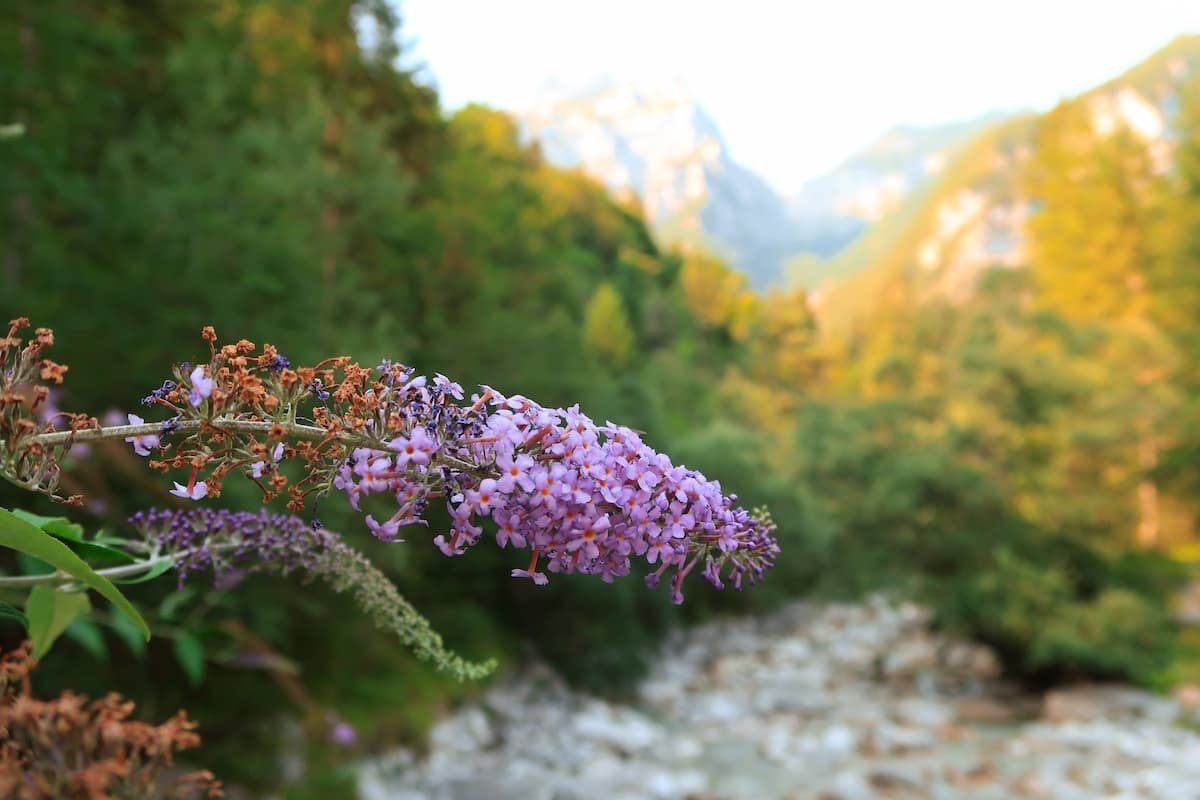 Dolomiten Geheimtipps