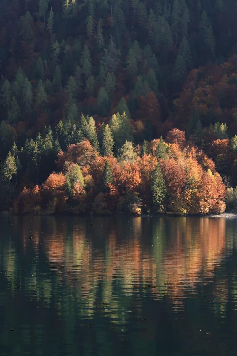 Herbst am Weißen See